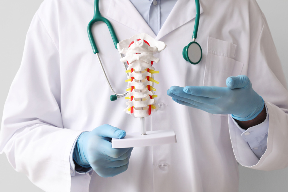 doctor showing spine model