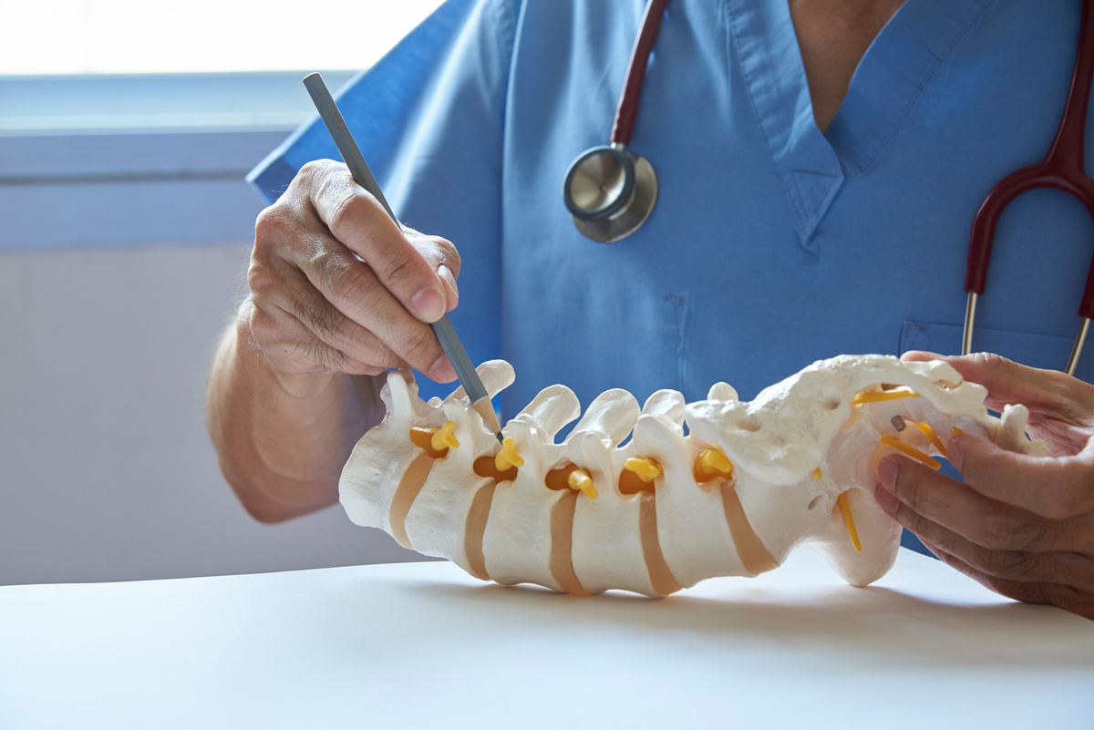 A neurosurgeon pointing at lumbar vertebra model in medical office